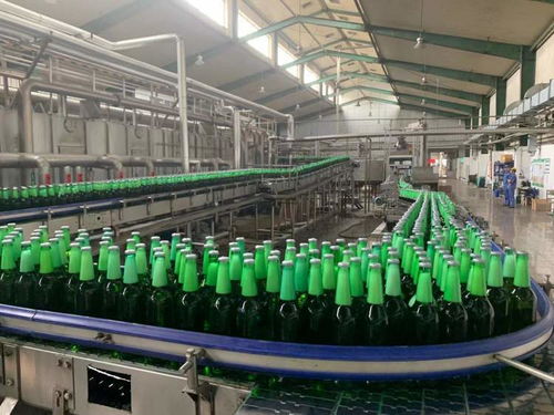 一表集成、自動計算 上海17稅費種綜合申報賦能企業智慧辦稅